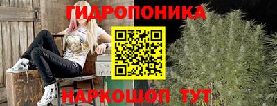 мяу мяу мука Берёзовский