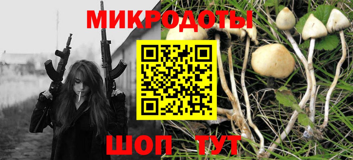хочу наркоту  Псилоцибиновые грибы GOLDEN TEACHER  Вход с VPN  Ипатово  Псилоцибиновые грибы прущие грибы 